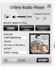 Flash player met nu speelt en album cover voor op website